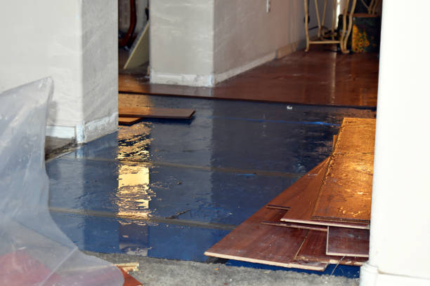 Professional Burst Pipe Cleanup technician working in Wheelwright, MA